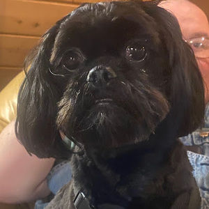 Meet your Posher, Carrie